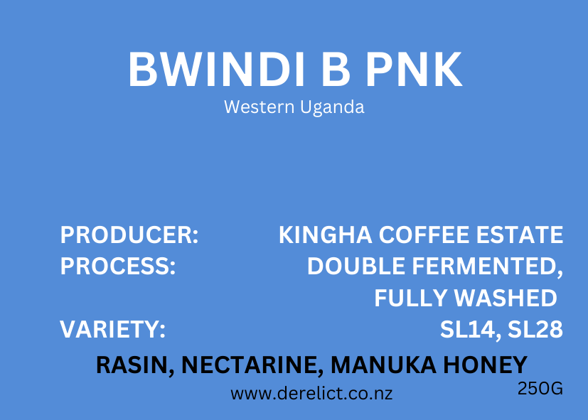 Bwindi B PNK - Uganda